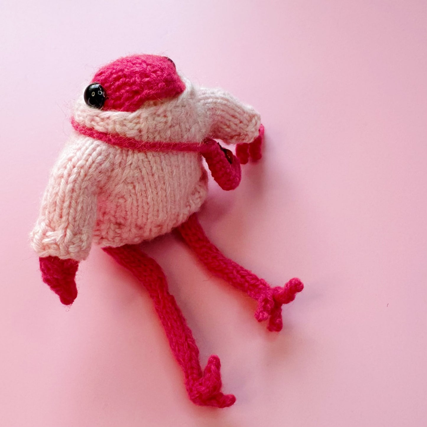 Berry- the Pink little frog