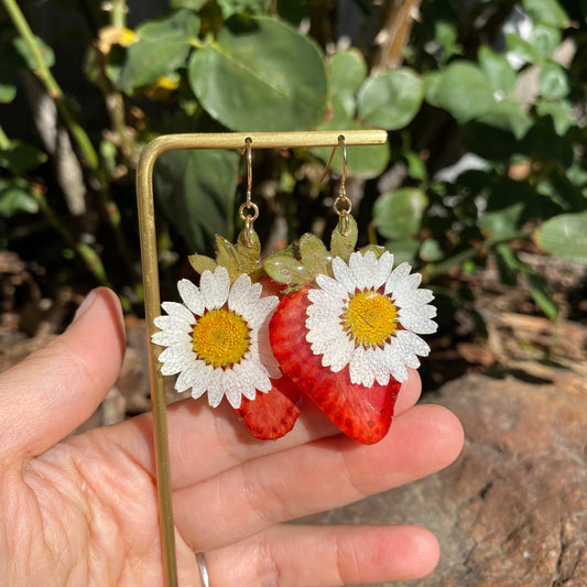 Real dry strawberry fruit slice with white daisy earrings/Berry studs/14k gold plated/Fish hoop with UV resin/Summer jewelry for her